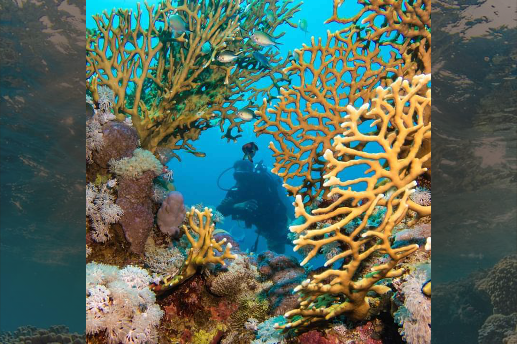 If you’re feeling adventurous, Egypt’s beaches offer more than just relaxation. Try snorkeling or paddleboarding in the calm waters, or enjoy a serene sunset sail. Whether you’re active or lounging, there’s something for every mood.