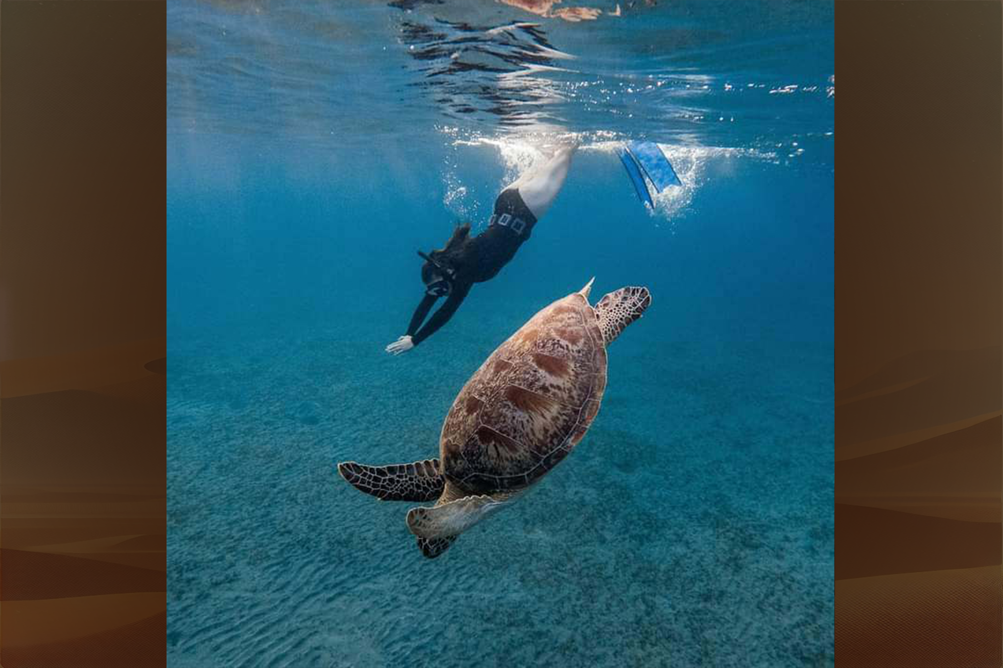 Scuba Diviing&Snorkeling